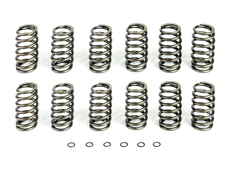 HP10240 Basic Spring Kit (12 Springs) For 1994-1998 Ram 2500/3500 Cummins 12 Valve Engine Pacbrake