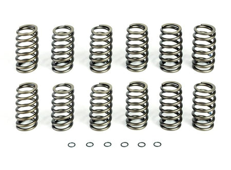 HP10240 Basic Spring Kit (12 Springs) For 1994-1998 Ram 2500/3500 Cummins 12 Valve Engine Pacbrake