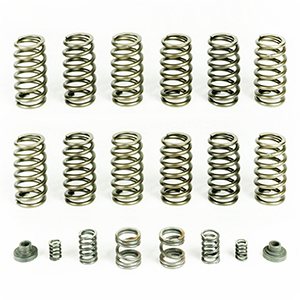 HP10245 Spring Kit (12 Springs) For 1994-98 Dodge Ram 2500/3500 With P7100 Injection Pump Pacbrake