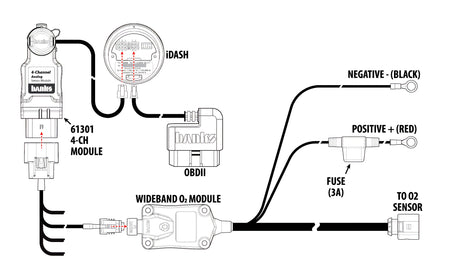 Banks AFR Module Wire Diagram