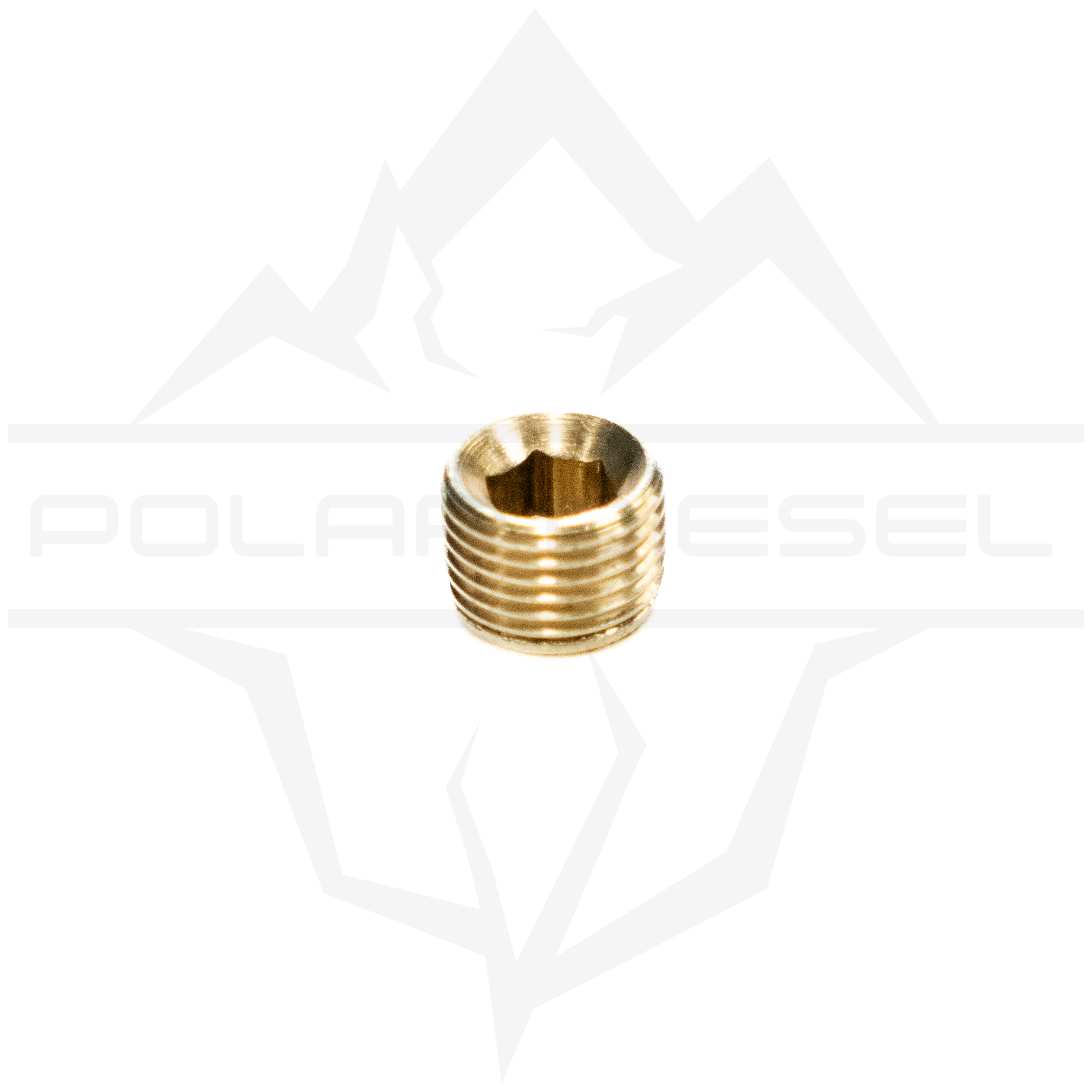 Polar Diesel 1/8th NPT Plug Polar Diesel